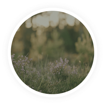 Testimonial Adult client