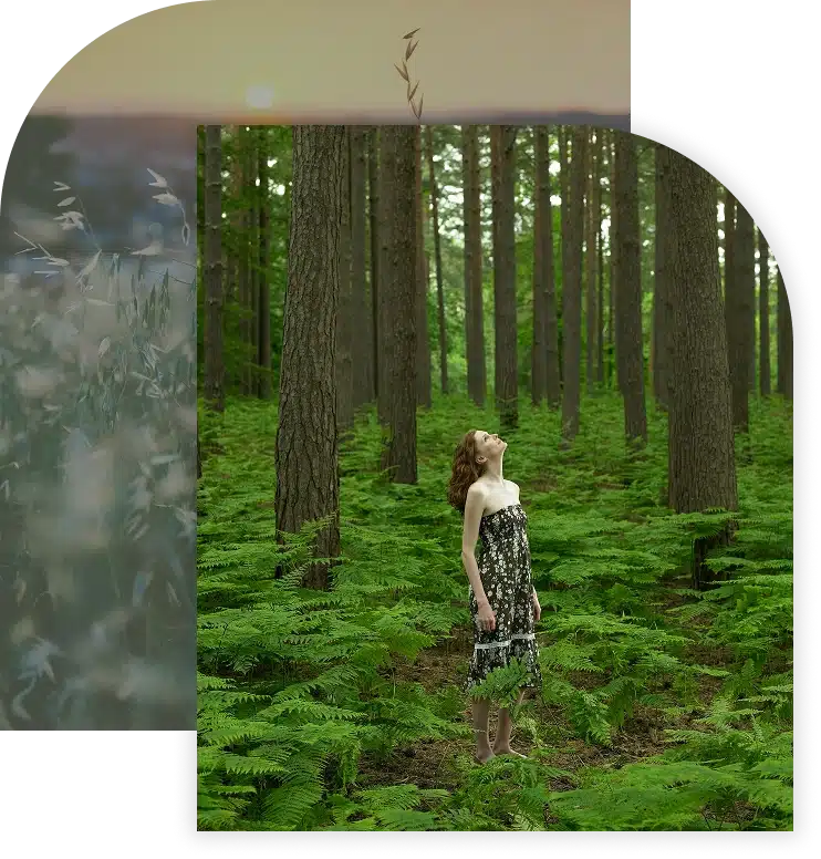 Woman standing in a forest, looking up among tall trees and ferns.