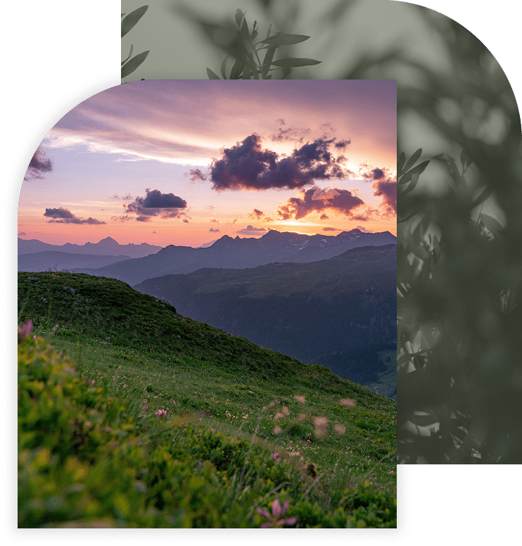 Mountain landscape at sunset with wildflowers in the foreground.