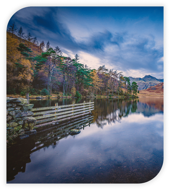 Reflective img