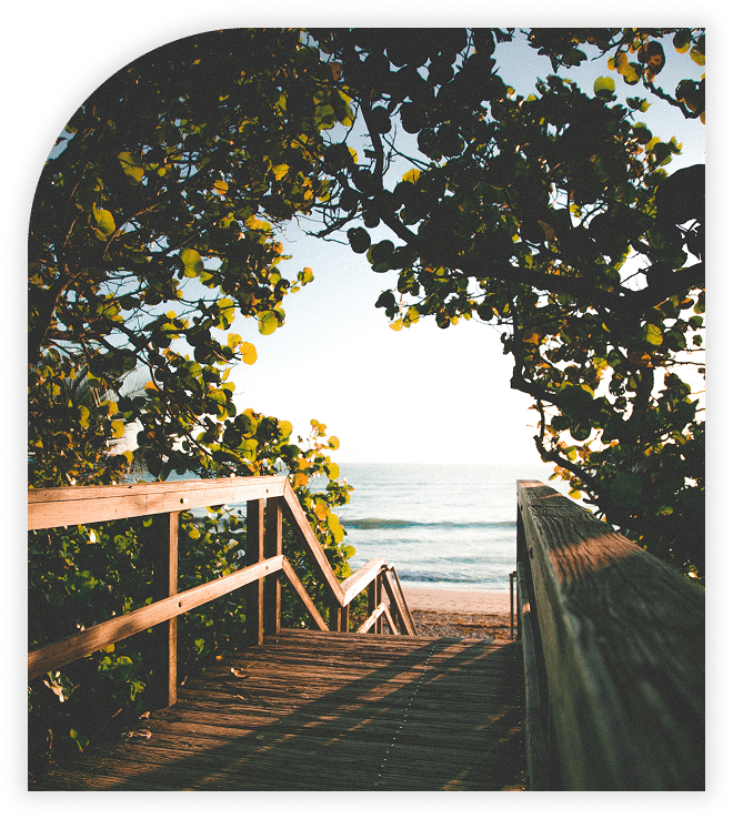 Wooden pathway through lush greenery leading to a serene beach and calm ocean view.