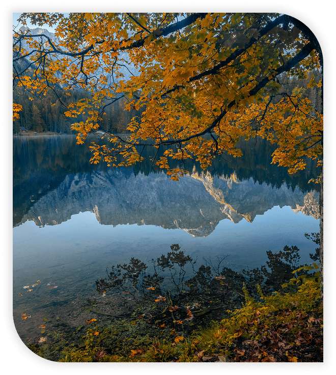 Autumn leaves overhanging a calm lake with mountains reflected in the clear water.