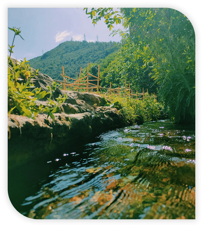 Shallow stream beside rocky path and wooden fence in a forested hillside.