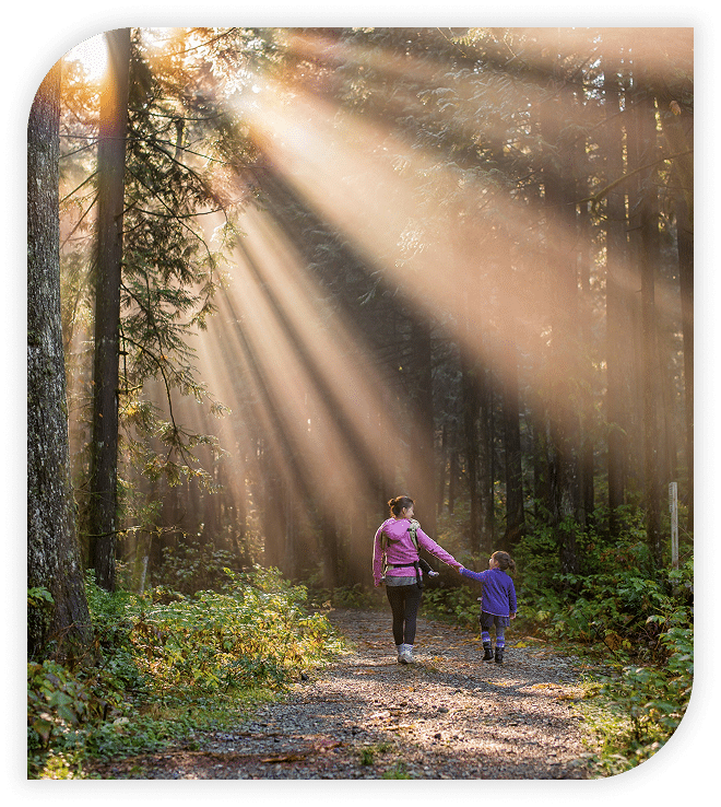 Woman and child walking hand in hand on a forest trail with sunlight streaming through the trees.