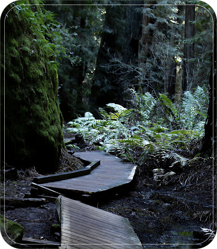 Life Transitions Hero Img