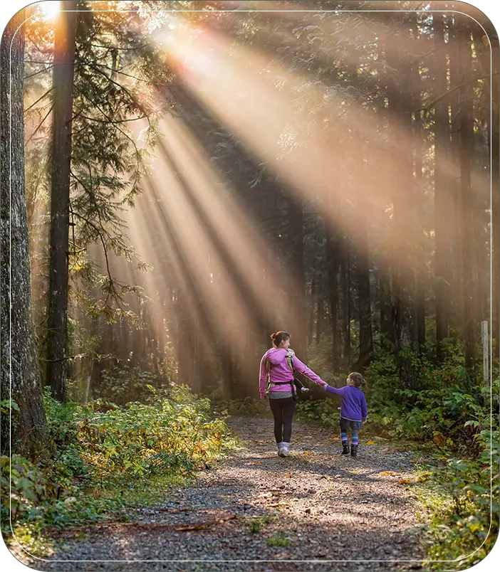 A mother and child walk hand-in-hand down a sunlit path in a forest.